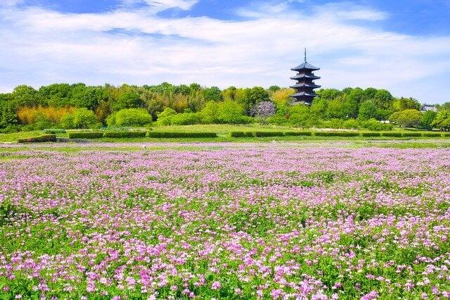 備中国分寺の写真