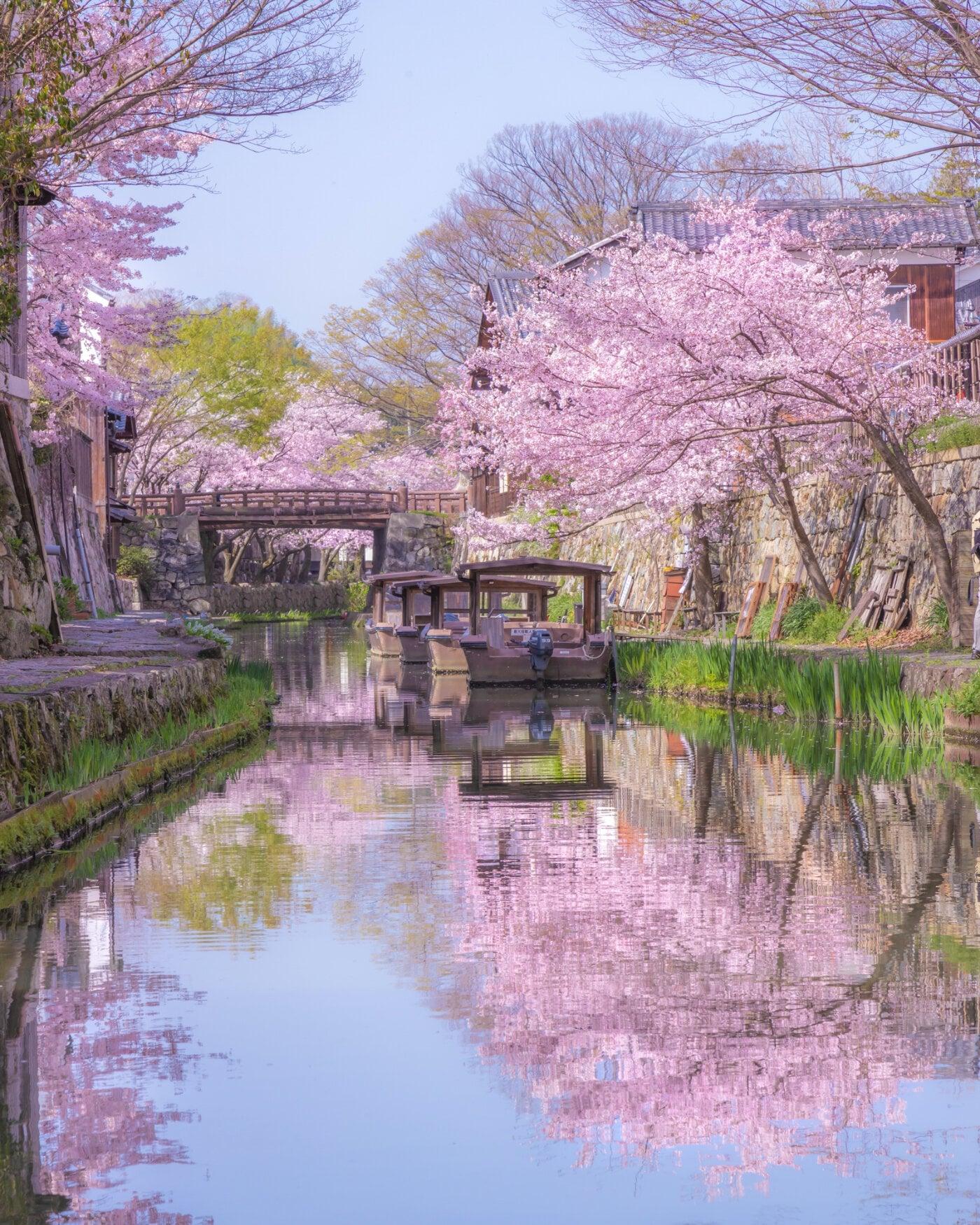 八幡堀の写真