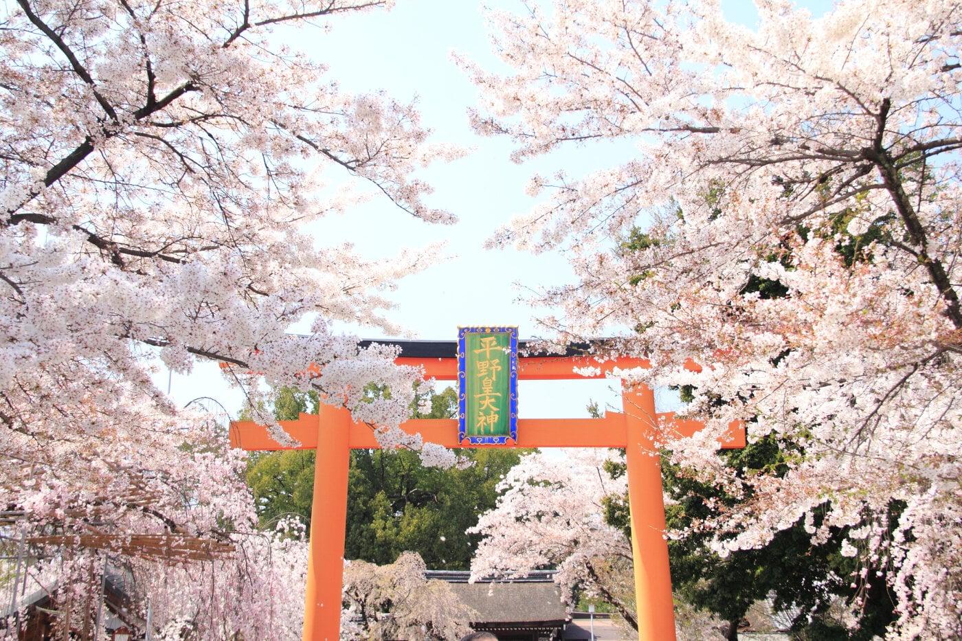 平野神社の写真