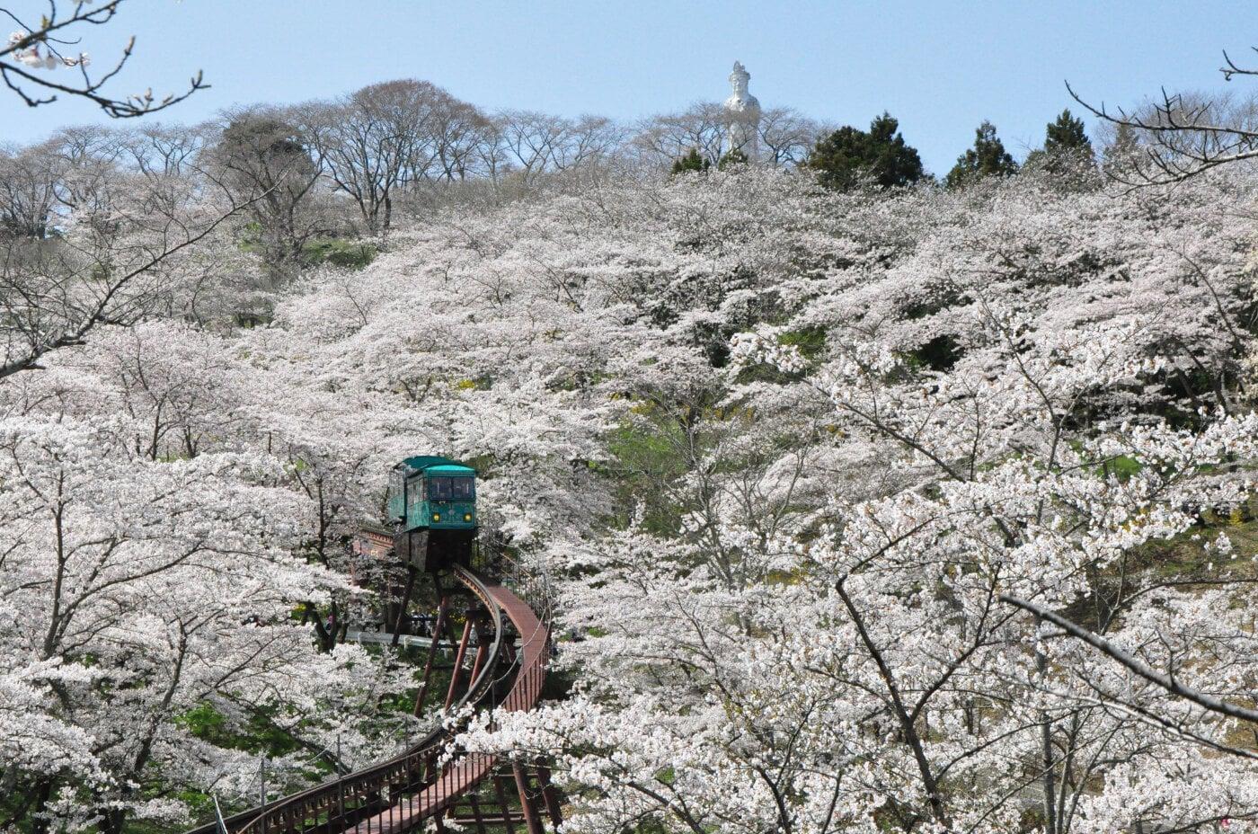 船岡城址公園の写真
