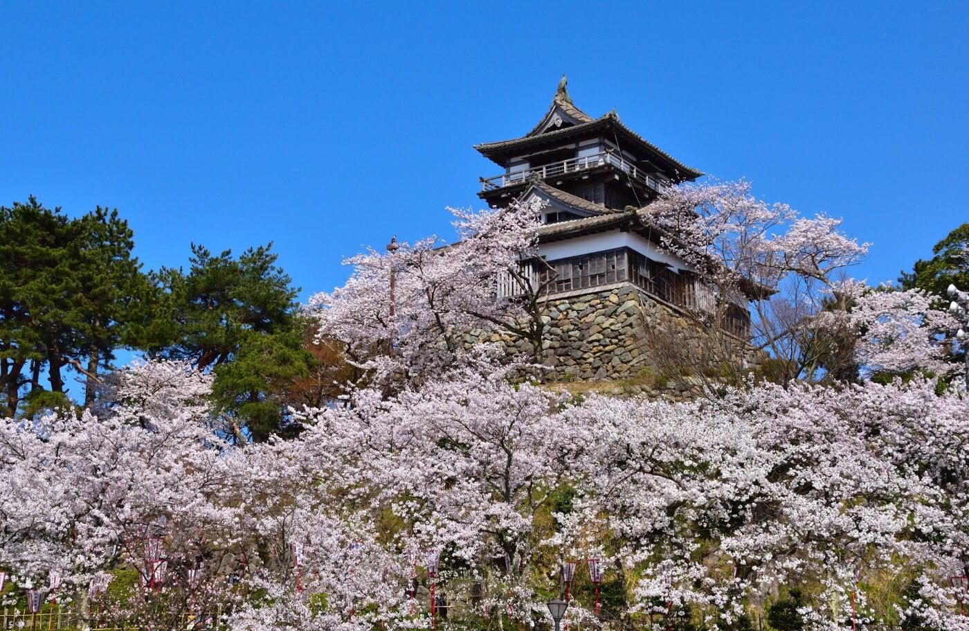 丸岡城の写真