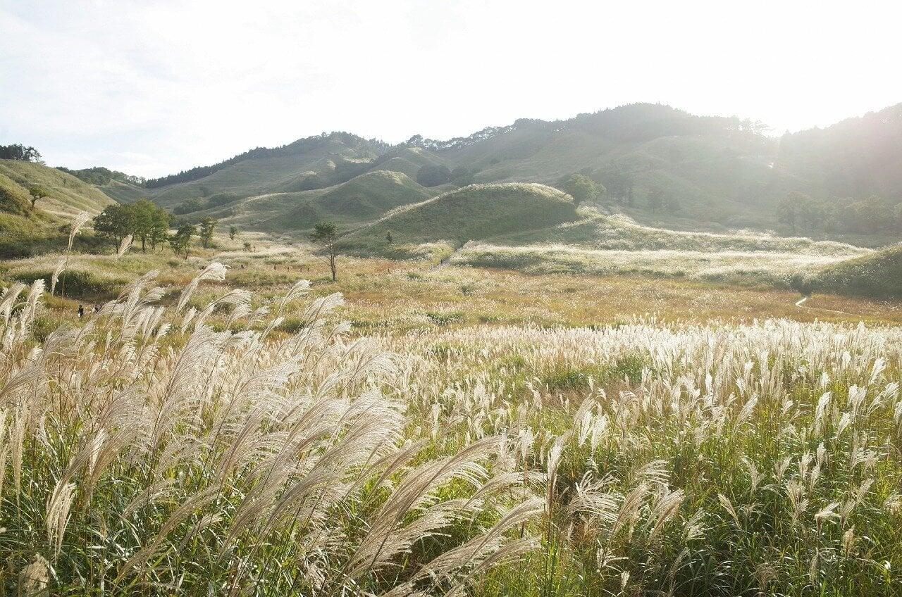 砥峰高原の写真