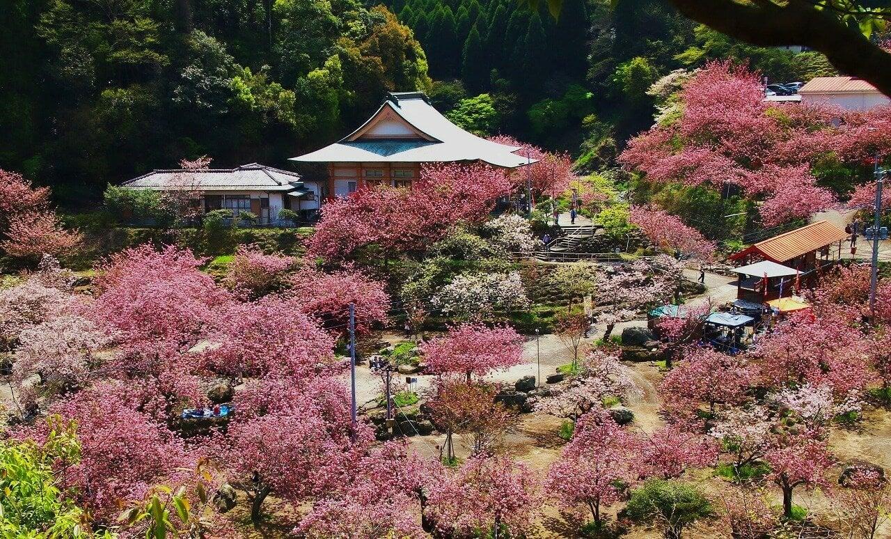 不動尊一心寺の写真