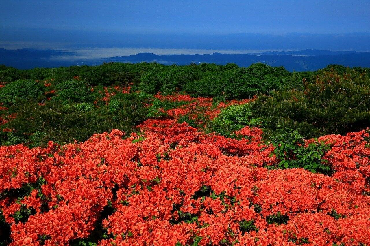 室根山の写真