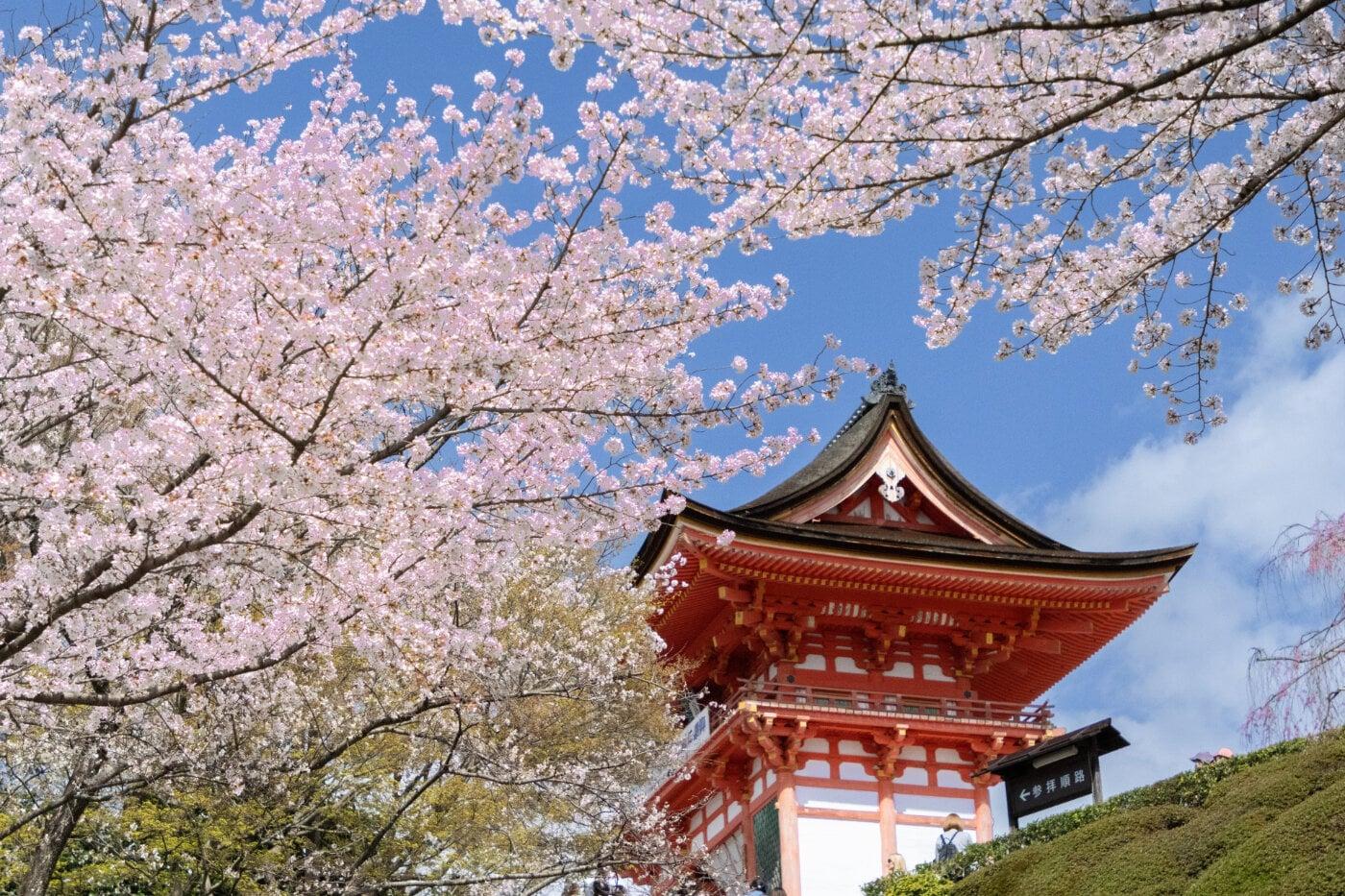 清水寺の写真