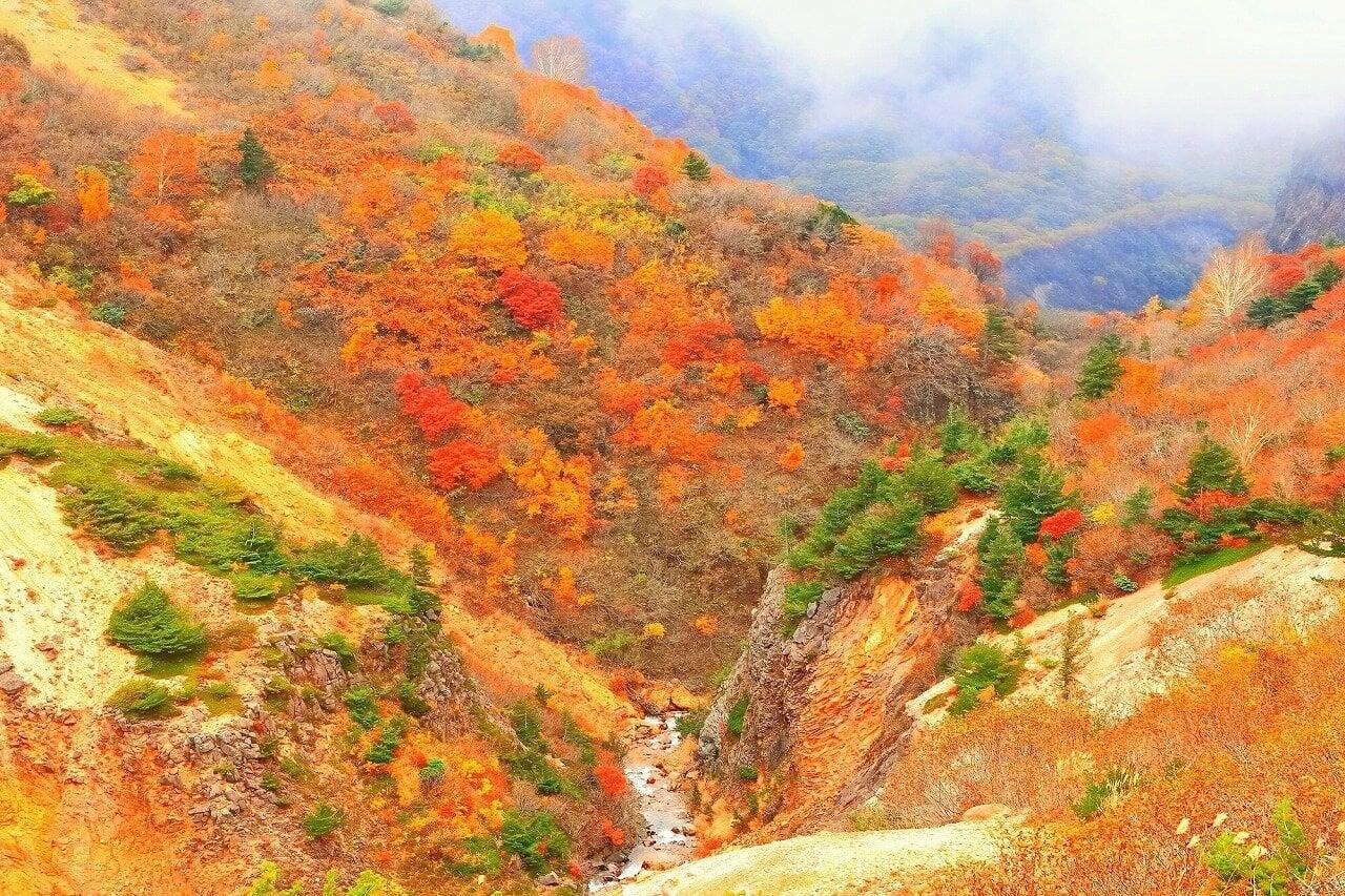 蔵王ロープウェイの写真