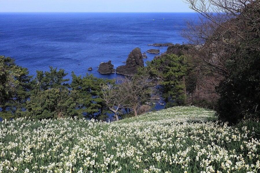 越前海岸の写真