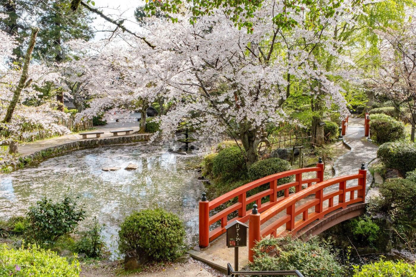 打吹公園の写真