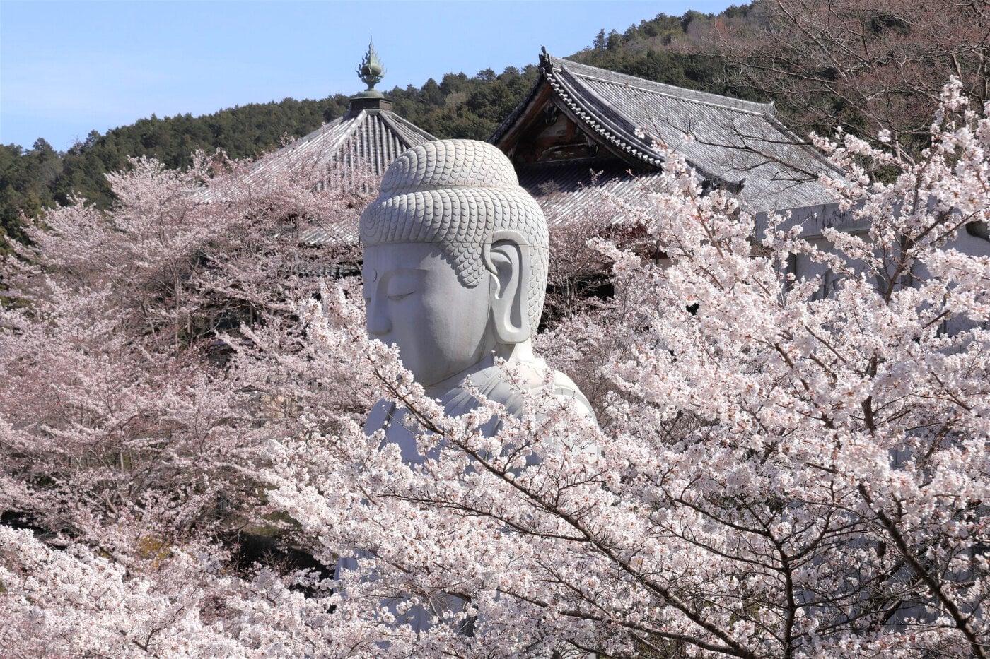 壷阪寺の写真