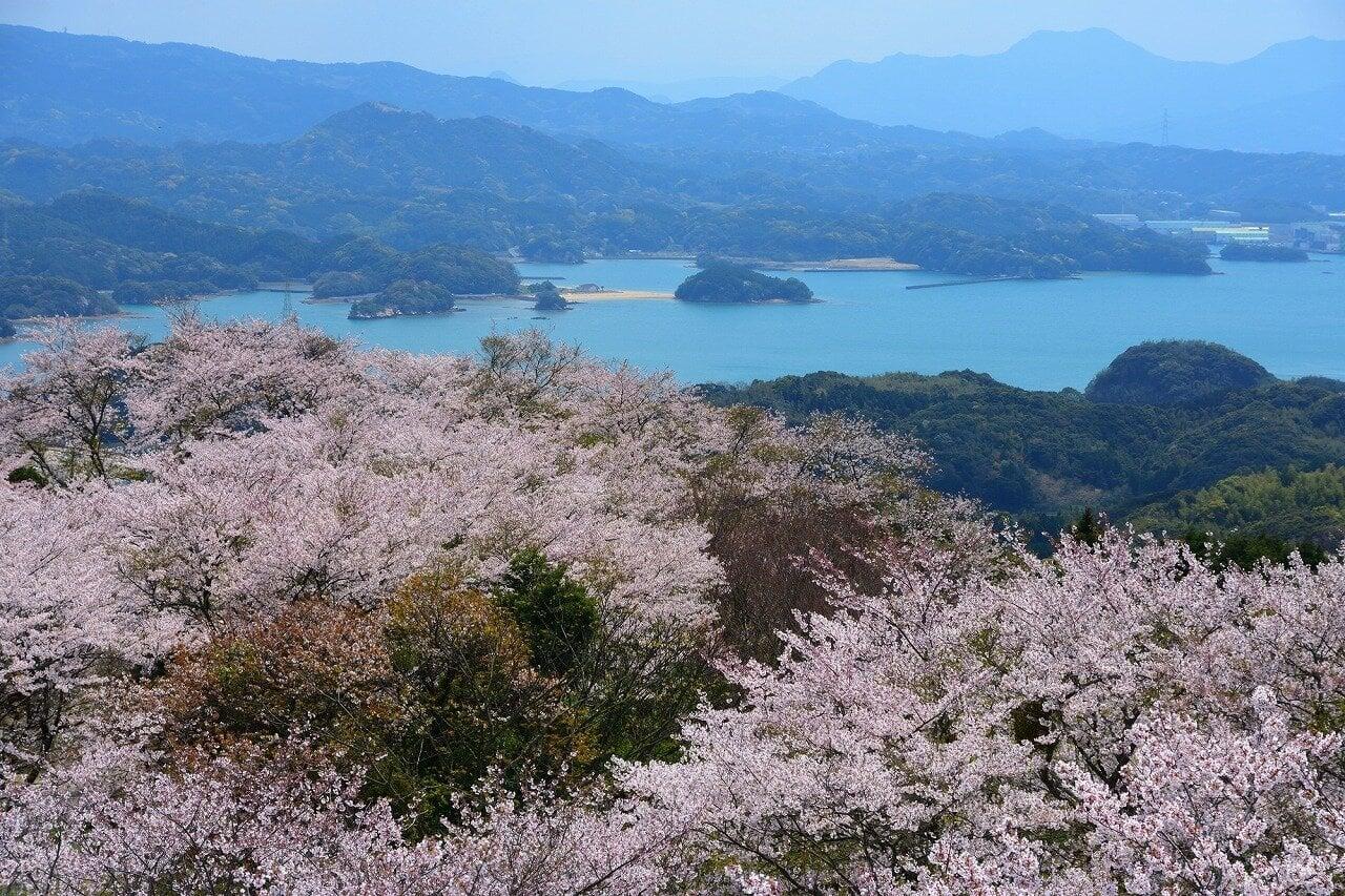 大山公園の写真