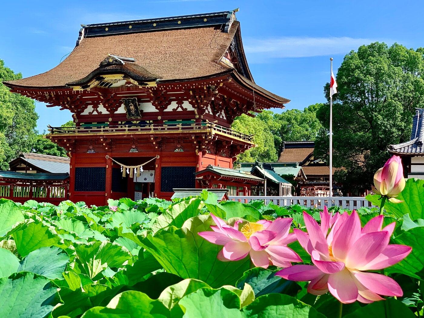 伊賀八幡宮の写真