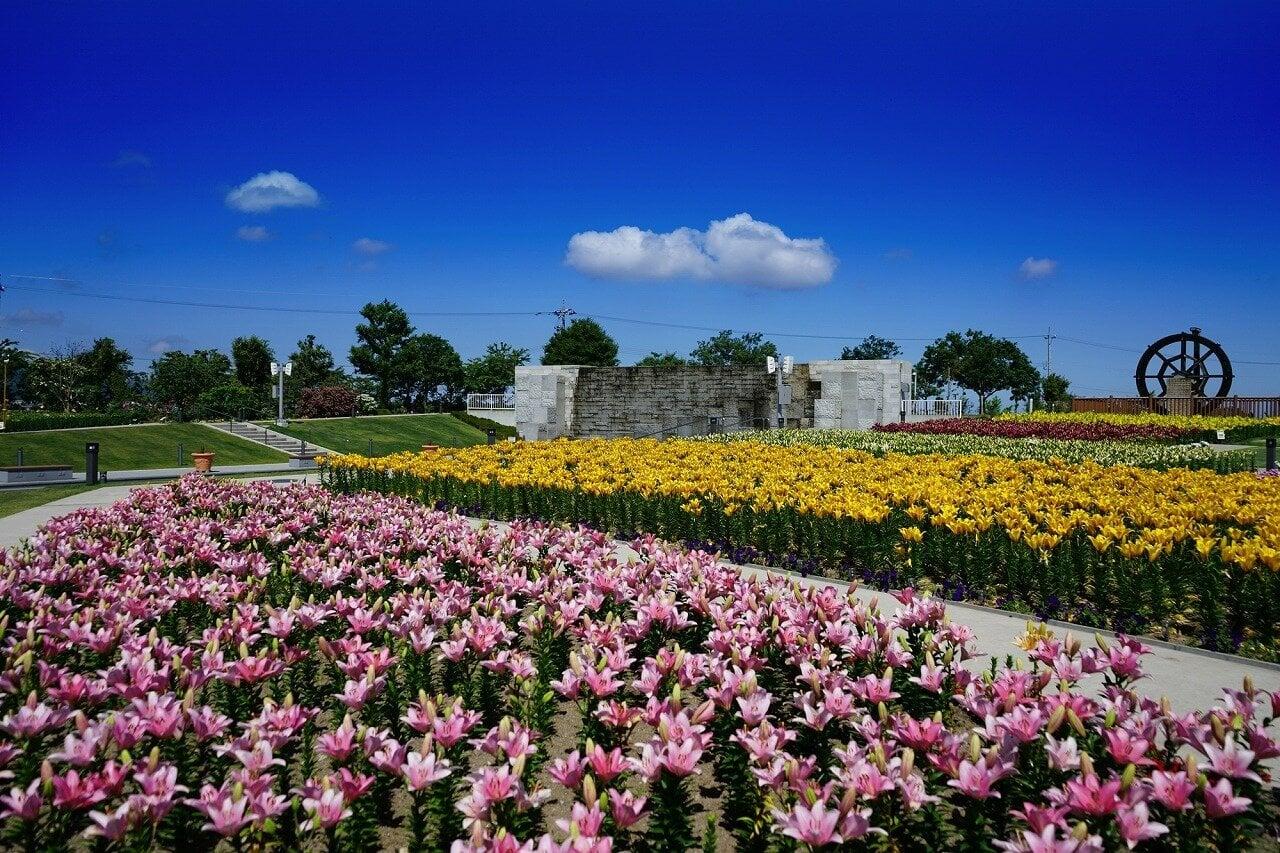 ゆりの里公園 ユリーム春江の写真