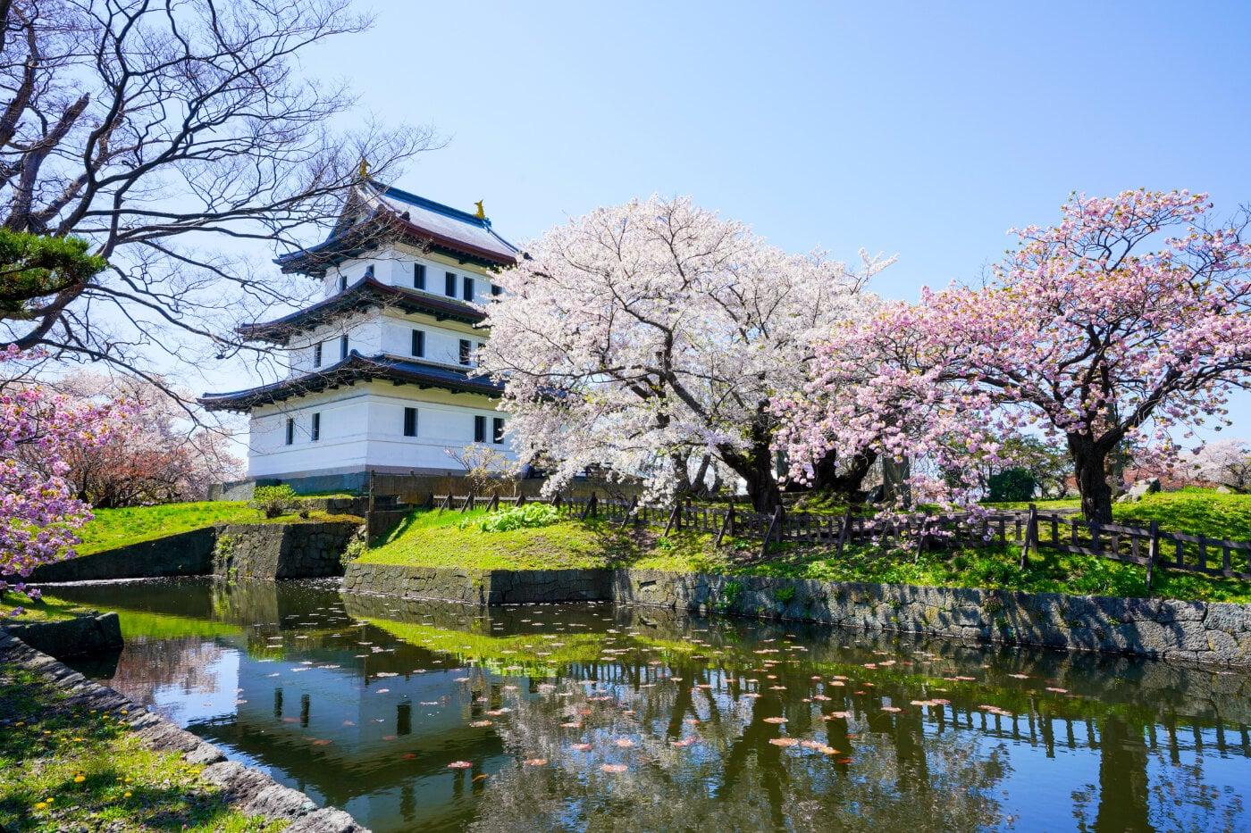 松前城(松前公園)の写真