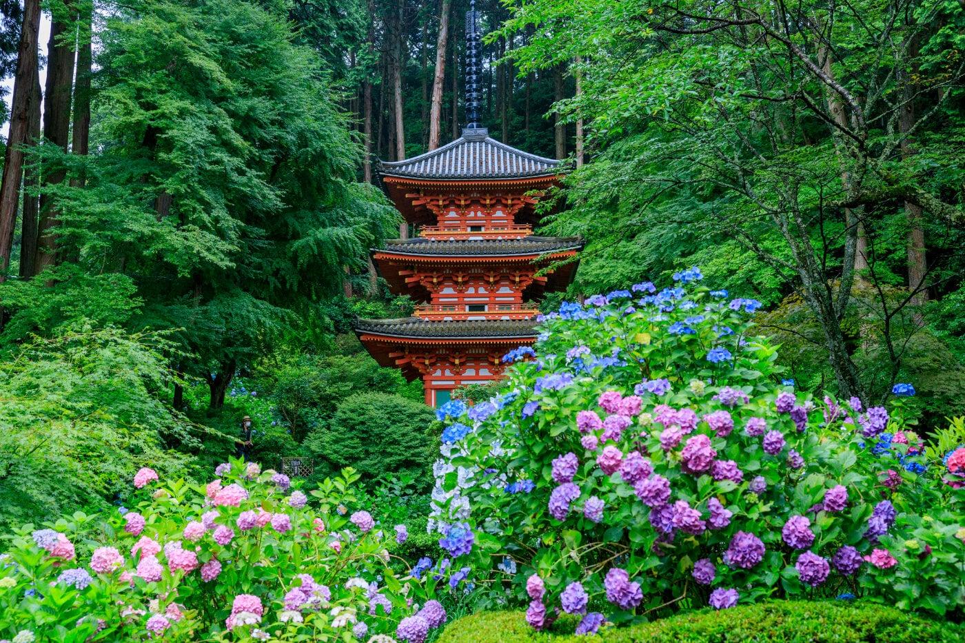 岩船寺の写真