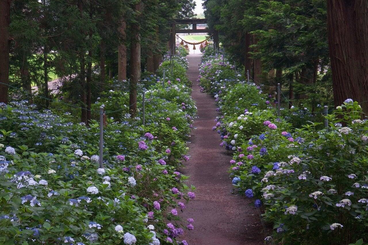 磯山神社の写真