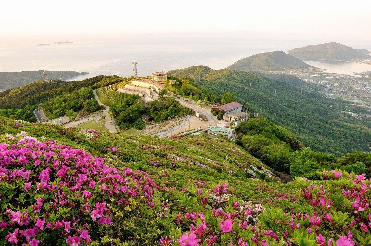 大平山の写真