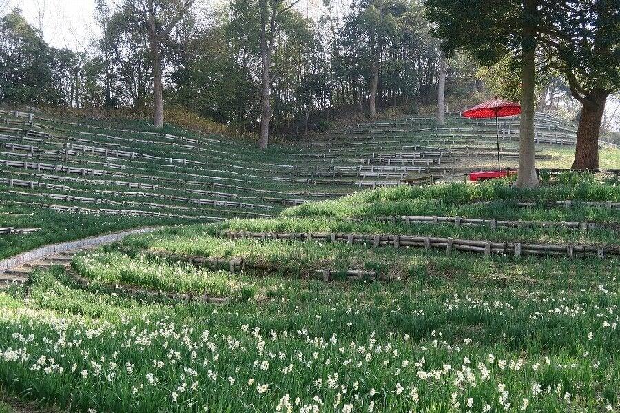 蜻蛉池公園の写真