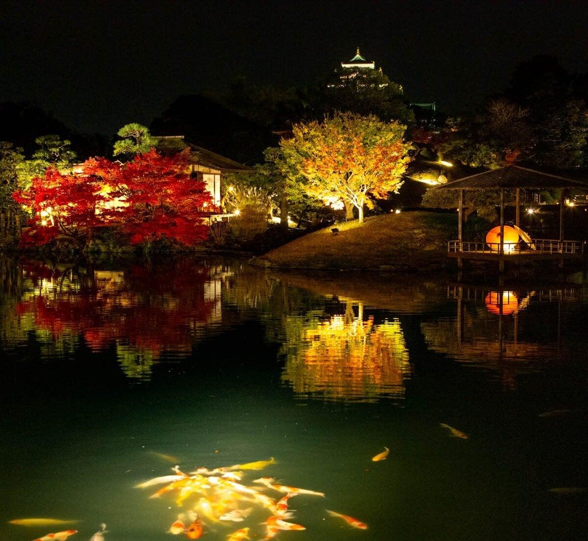 岡山後楽園の写真