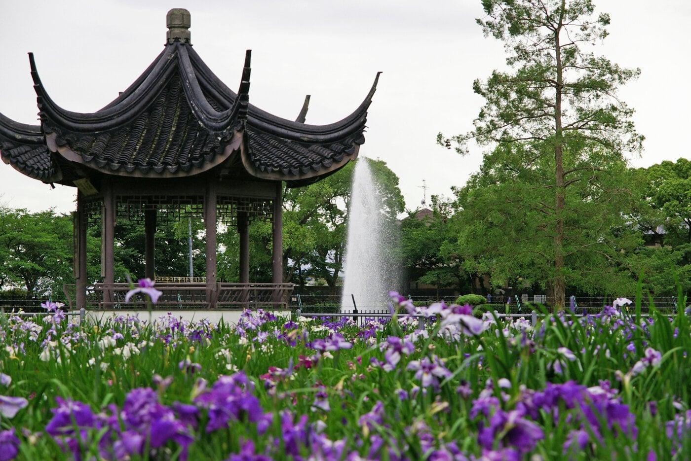 水月公園の写真