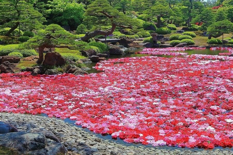 由志園の写真