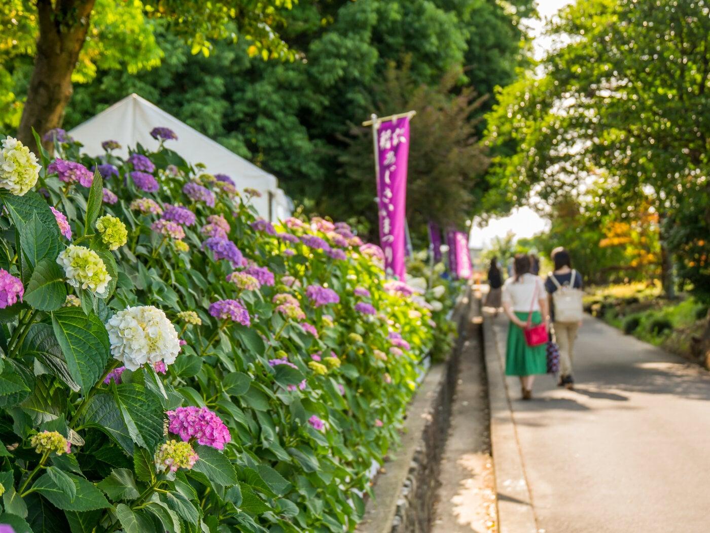 大塚性海寺歴史公園の写真