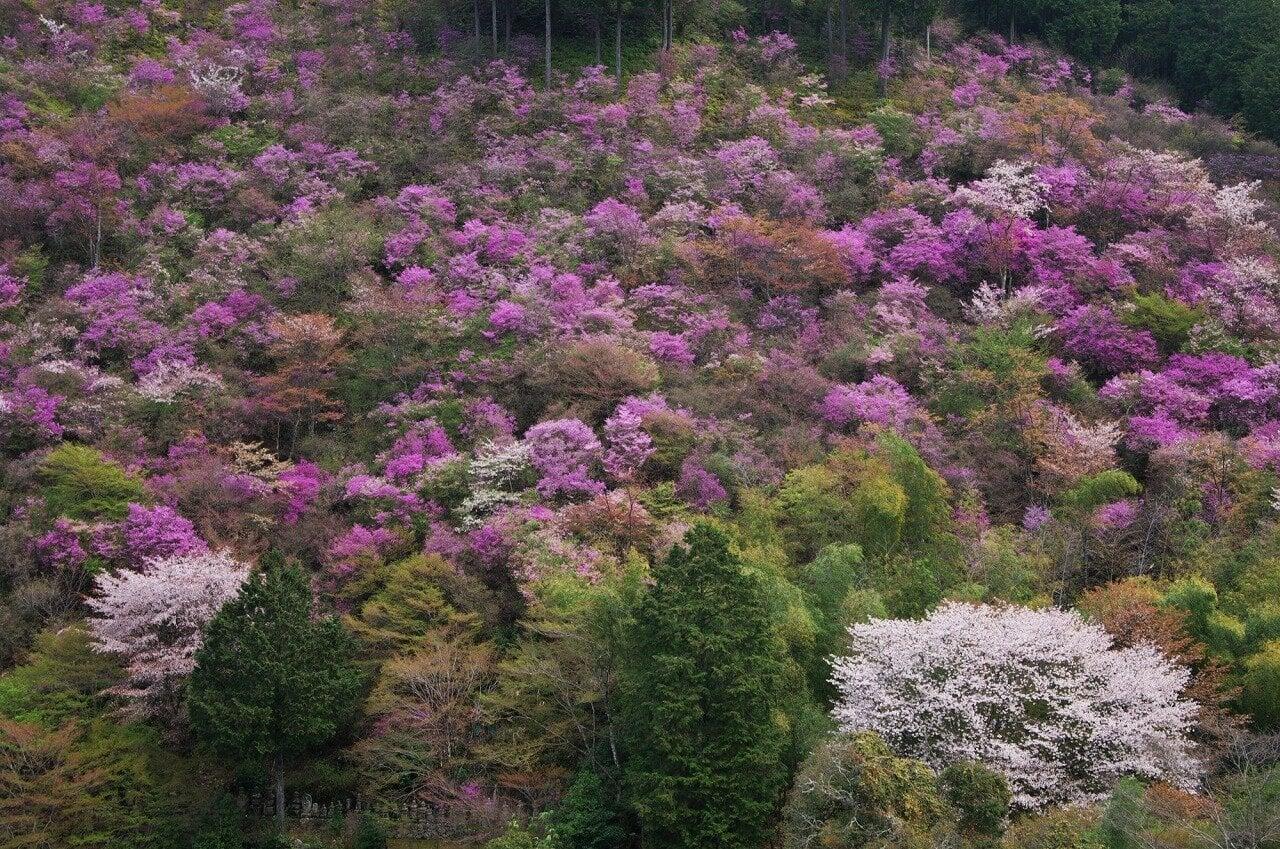 高雄の写真