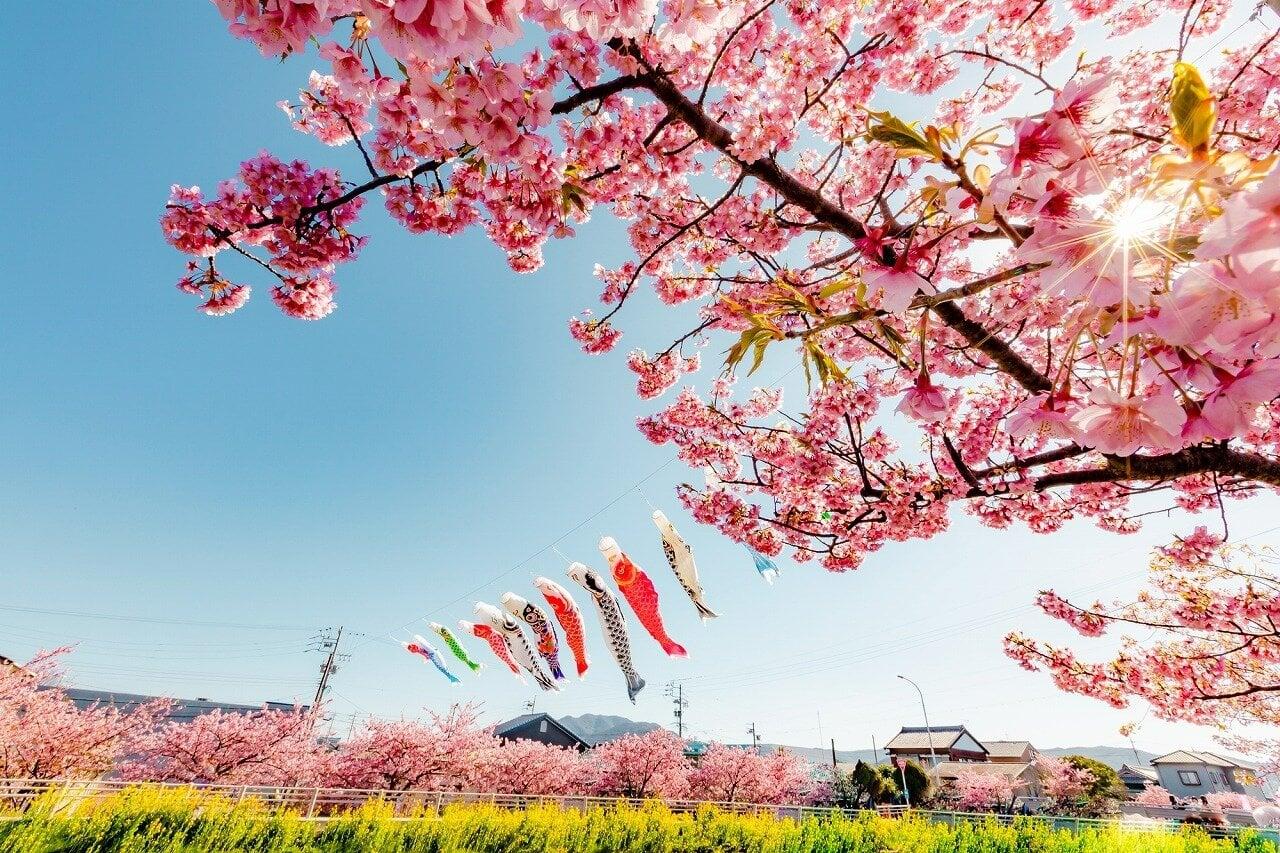 免々田川の写真