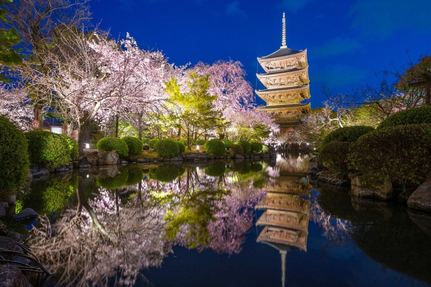 東寺の写真
