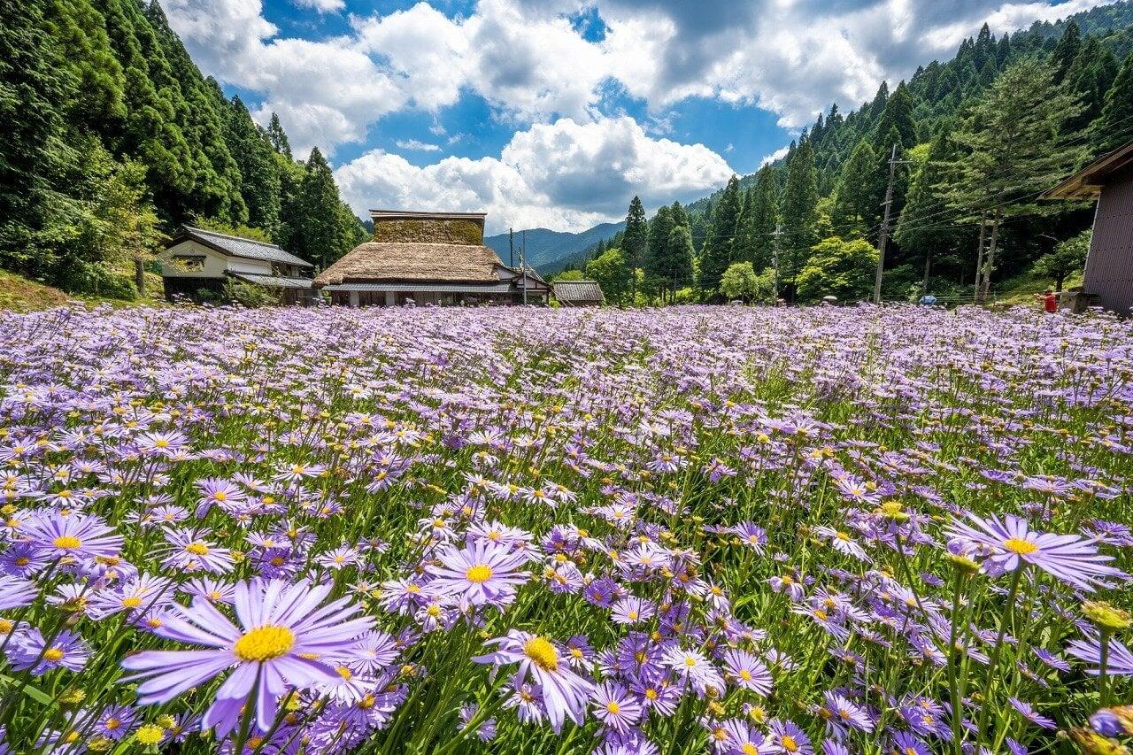 久多の里の写真