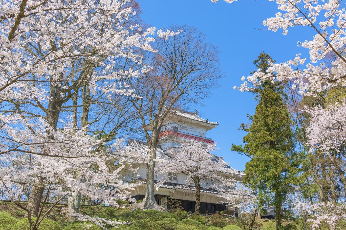 千秋公園の写真