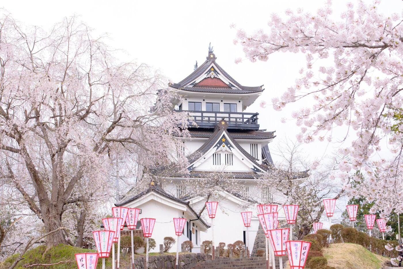 横手公園の写真