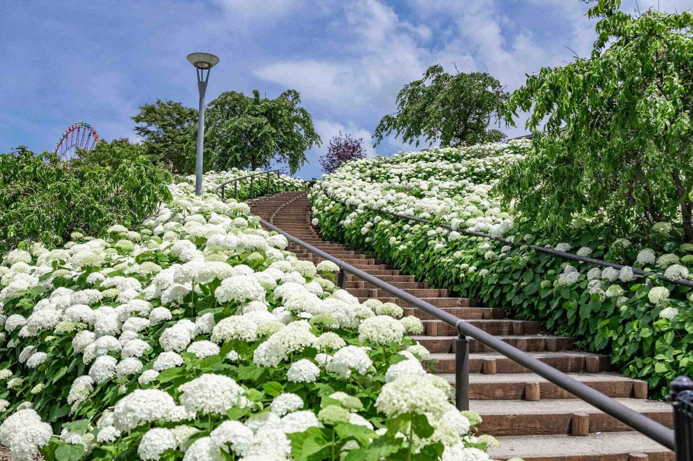 シンボルプロムナード公園の写真