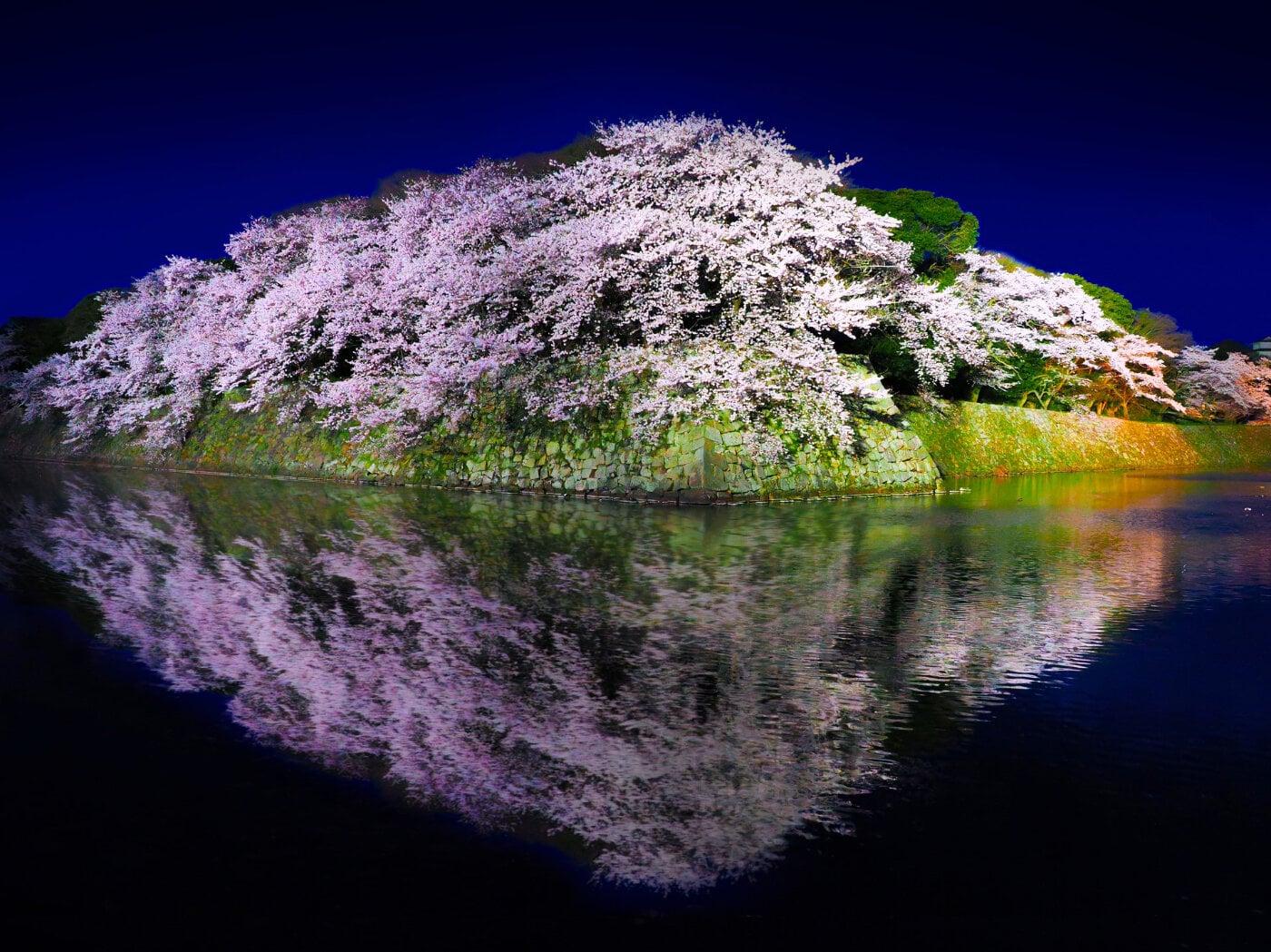 彦根城の写真