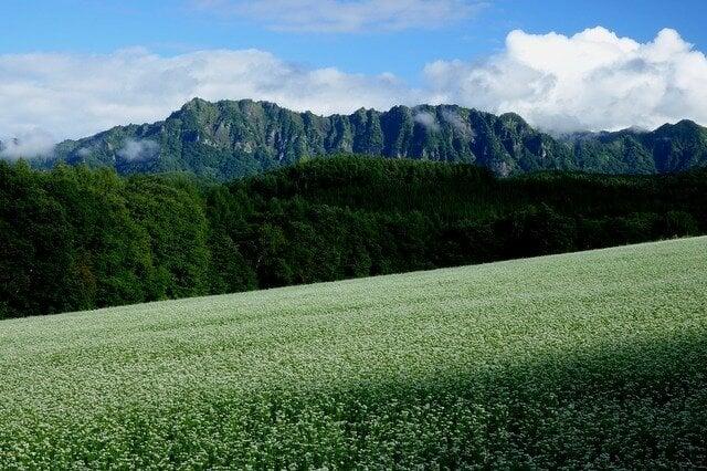 戸隠展望苑の写真