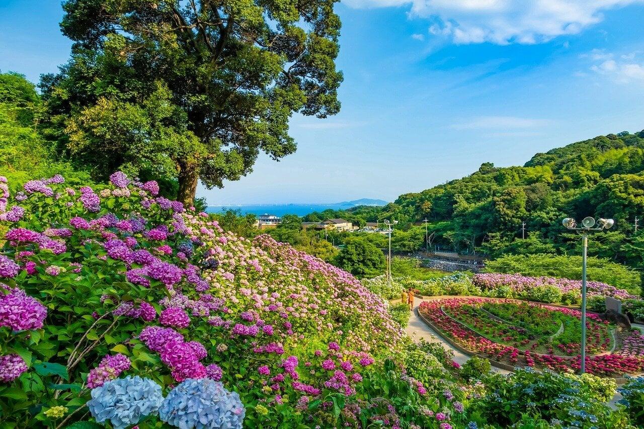 形原温泉あじさいの里の写真