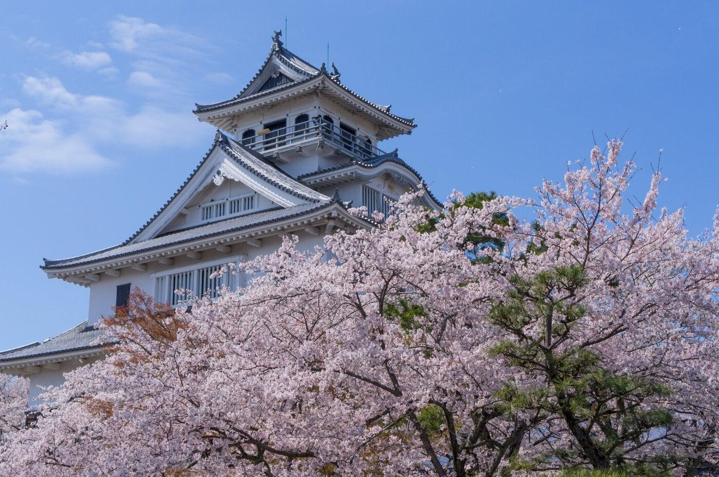 豊公園(長浜城)の写真