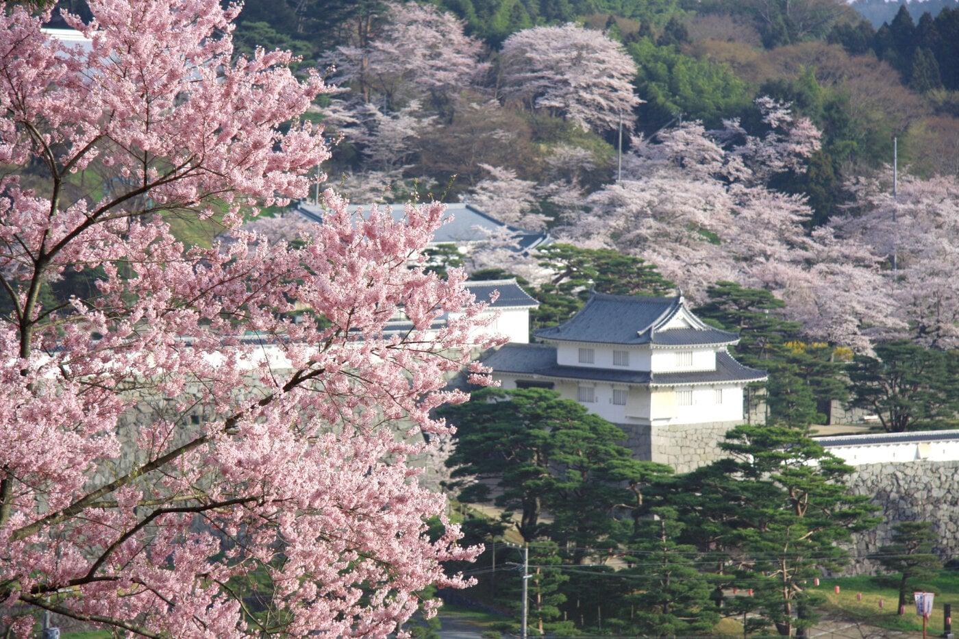 霞ヶ城公園(二本松城跡)の写真
