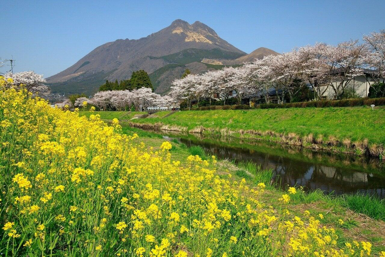 大分川の写真