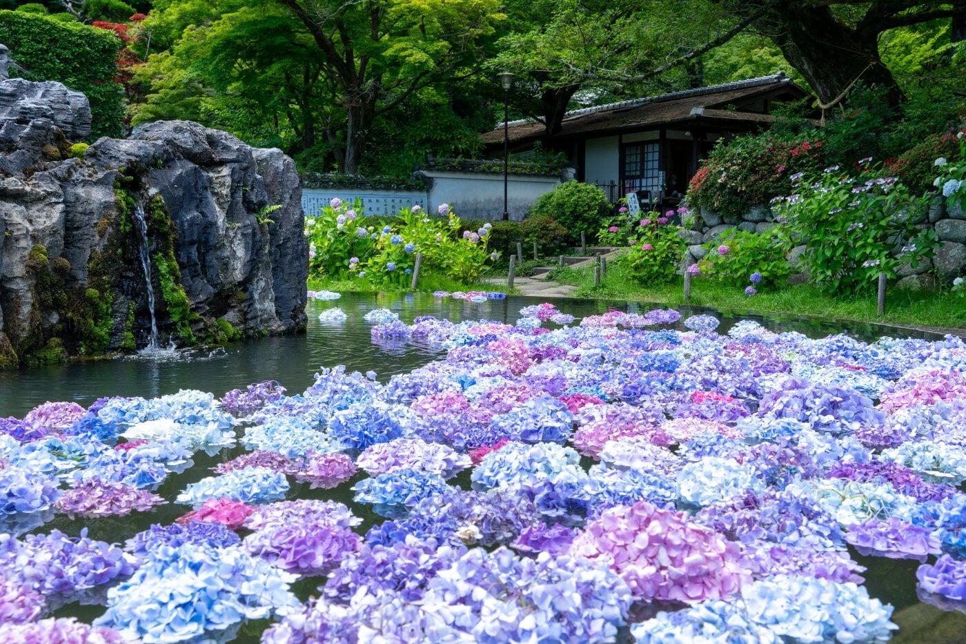 久安寺の写真