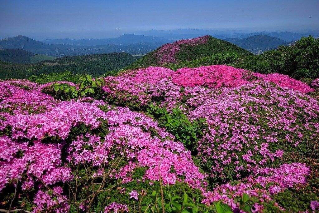 くじゅう連山の写真