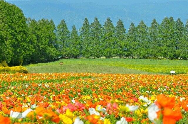 生駒高原の写真