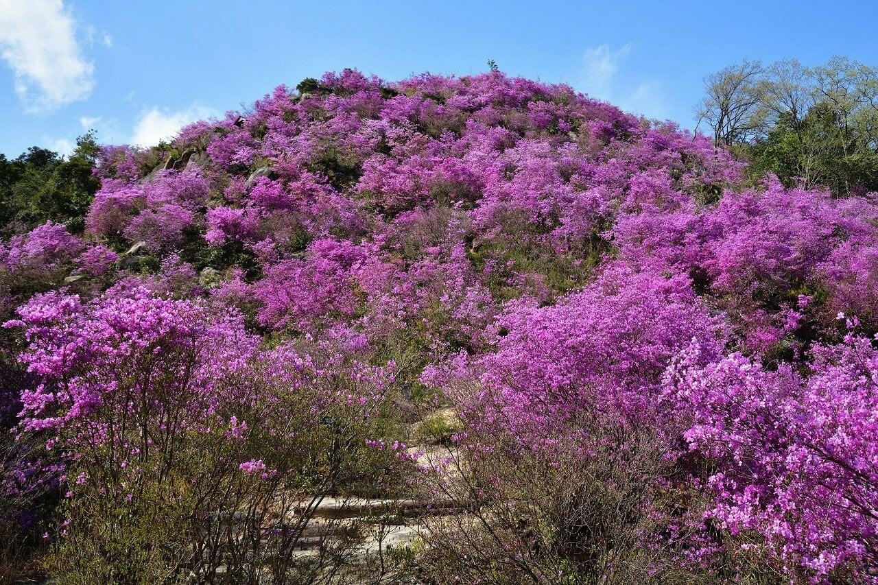 滝上山の写真
