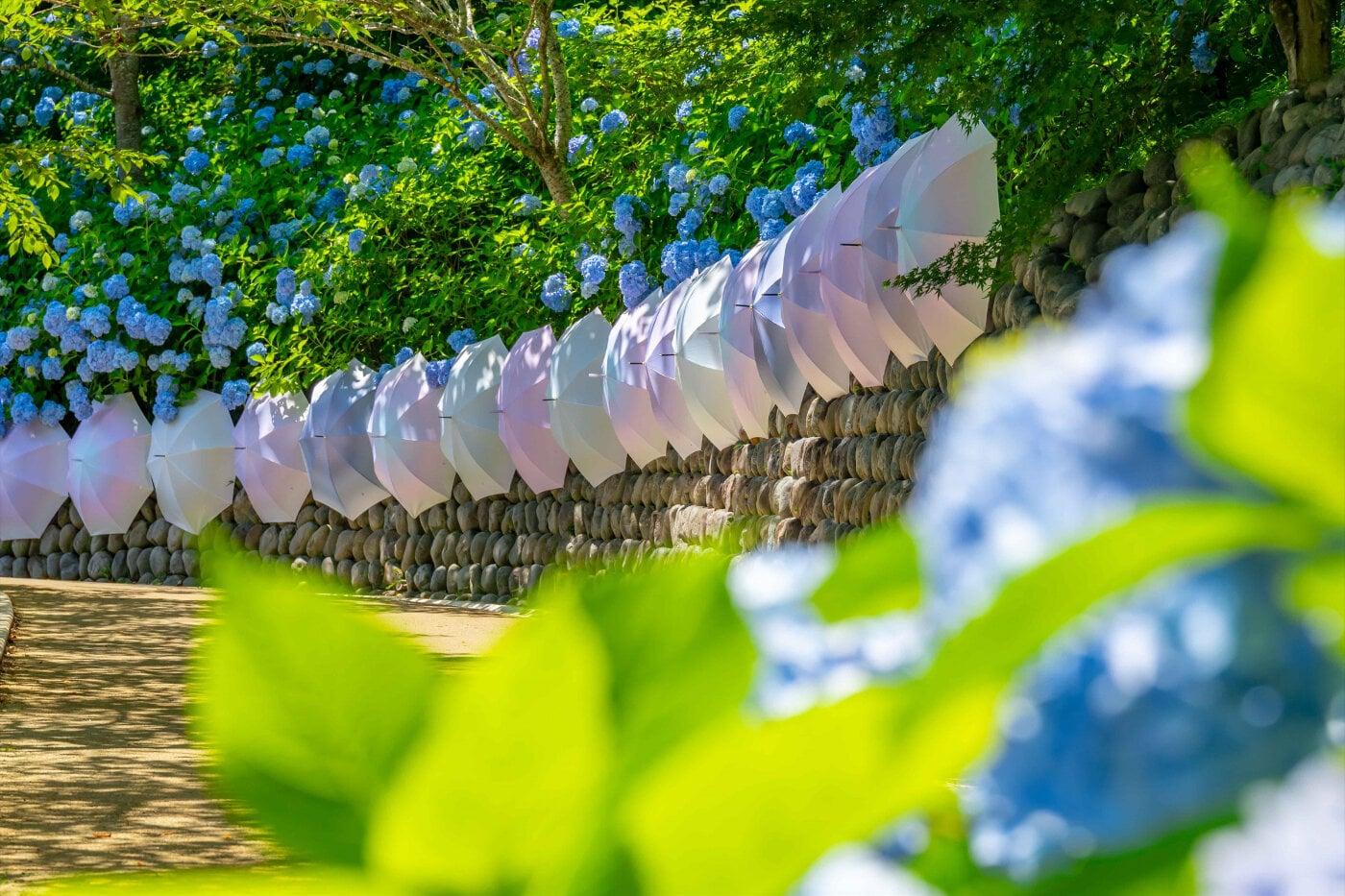 法多山 尊永寺の写真