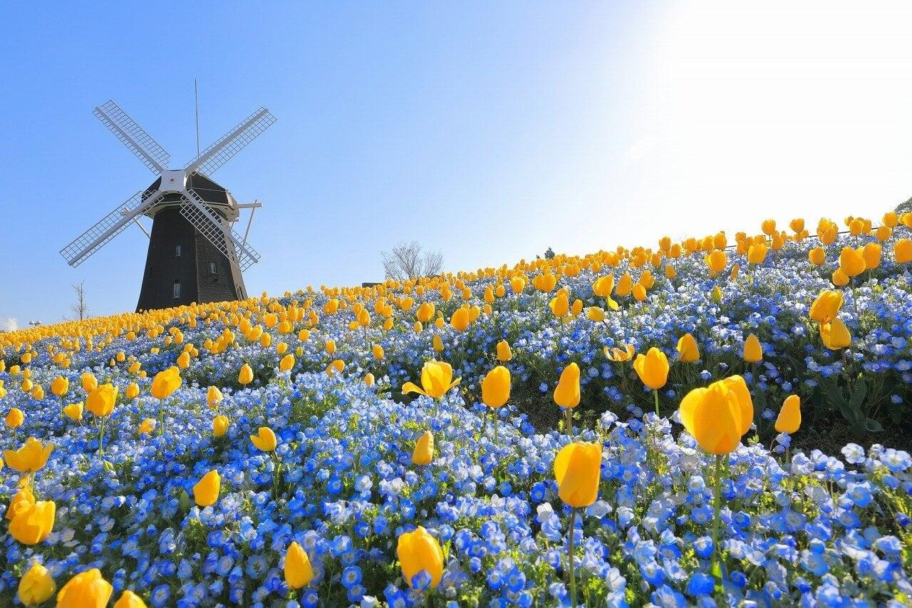 花博記念公園鶴見緑地の写真