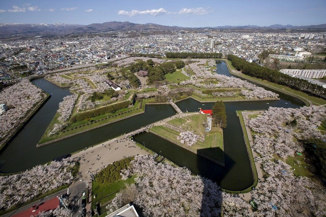 五稜郭公園の写真