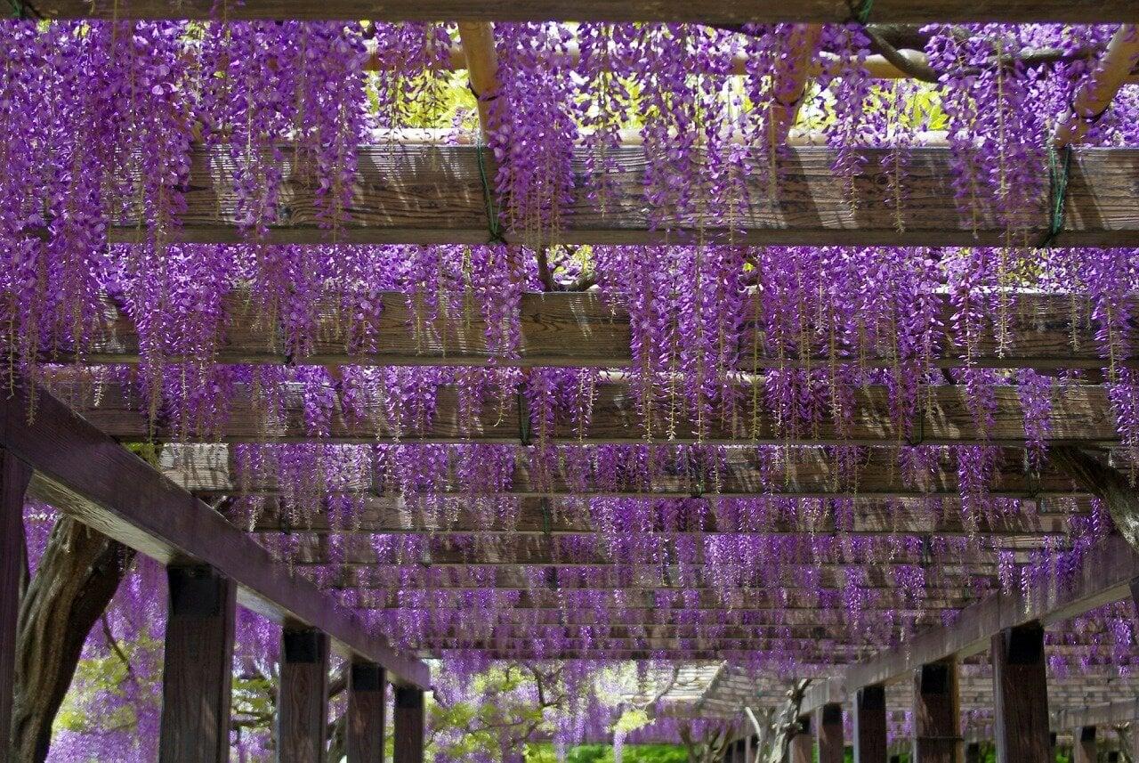 鳥羽水環境保全センターの写真