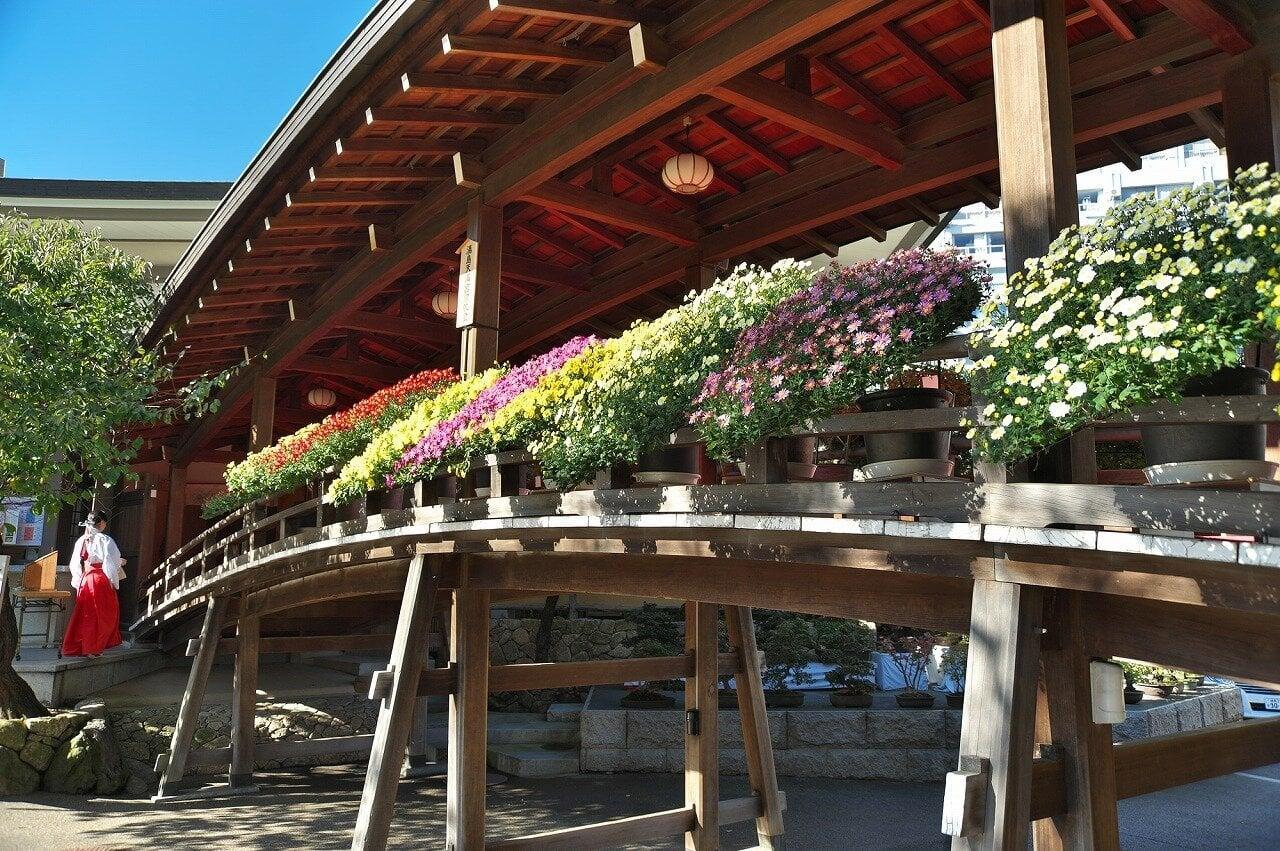 湯島天神の写真