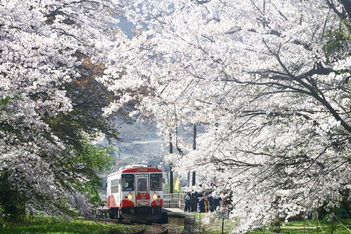 樽見鉄道の写真