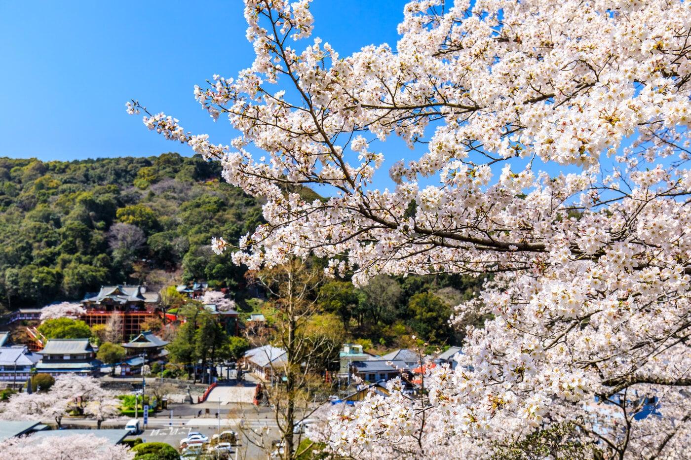 祐徳稲荷神社の写真