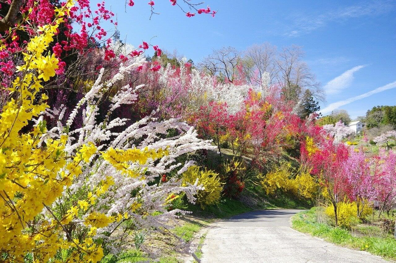 花やしき公園の写真